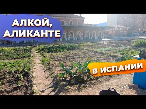 Видео: 🔴Город Алкой — стоит ли покупать здесь жильё?