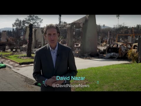 Видео: Смертоносные лесные пожары в Лос-Анджелесе в 2025 году: кто или что виноват?