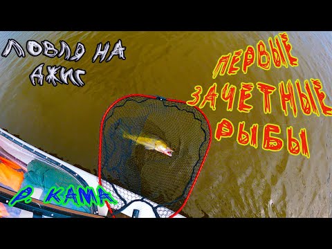 Видео: Джиг. Судак. Берш. Начали ТЕСТ ПРИМАНОК от подписчика!