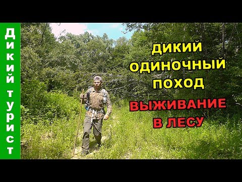 Видео: ДИКИЙ ОДИНОЧНЫЙ ПОХОД. Выживаю в лесу - варю крапиву и грибы, собираю подножный корм