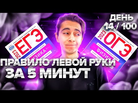 Видео: ПРАВИЛО ЛЕВОЙ РУКИ ЗА 10 МИНУТ I Физика ОГЭ ЕГЭ 2024 I Эмиль Исмаилов - Global_EE