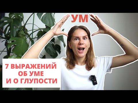 Видео: Интересные выражения об УМЕ и о ГЛУПОСТИ