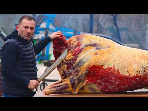 Видео: ЗУБР НА ГРИЛЕ. МЯСО БИЗОНА. ОТВАРНОЕ, НА ГРИЛЕ.