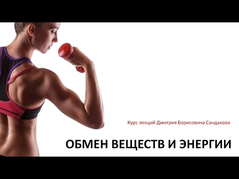 Видео: Лекция 17.  Обмен веществ и энергии