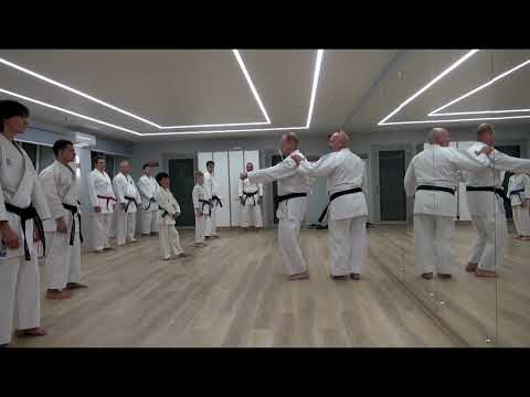 Видео: Скорость удара