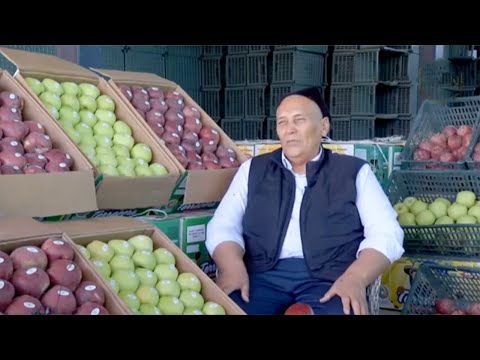 Видео: Бахмалда 100 гектар олма боғини парвариш қилаётган боғбон сирлари | Mening bog'im
