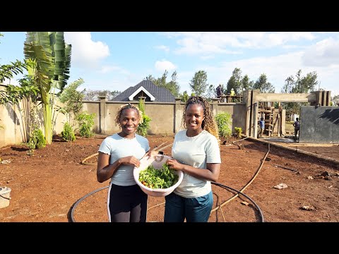 Видео: Сбор свежих помидоров и овощей 🌿 | Посадка новых культур и развитие дома в деревне