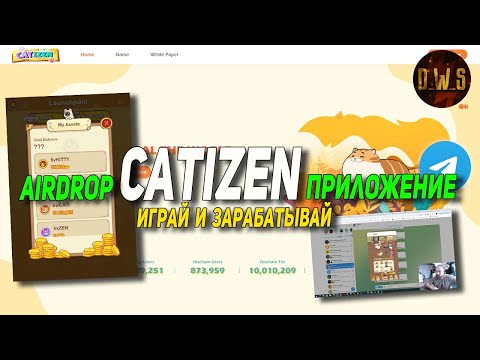 Видео: Catizen - играй и зарабатывай - новый тренд в играх 2024 | D_W_S