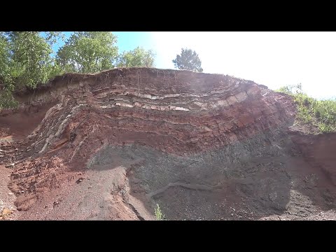 Видео: №30 Окаменелости. В поисках чешуйчатых растений