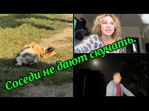 Видео: 1843❤️ Немного истории/ День в ожидании/ Завалили работой/ Ночные раскопки на участке