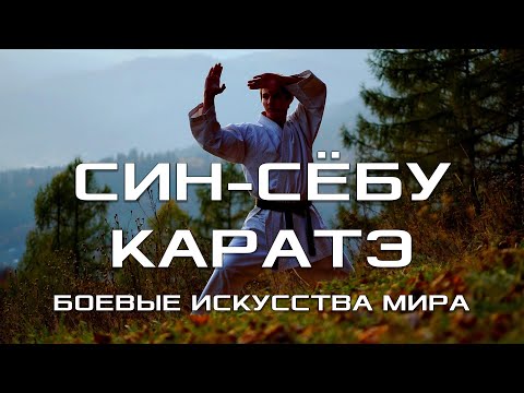 Видео: СИН-СЁБУ КАРАТЭ. БОЕВЫЕ ИСКУССТВА МИРА. В ПОИСКАХ СОВЕРШЕНСТВА