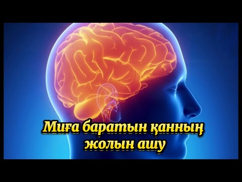 Видео: Миға баратын қанның жолдарын ашу..