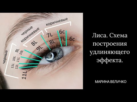 Видео: Лиса. Схема построения удлиняющего эффекта.