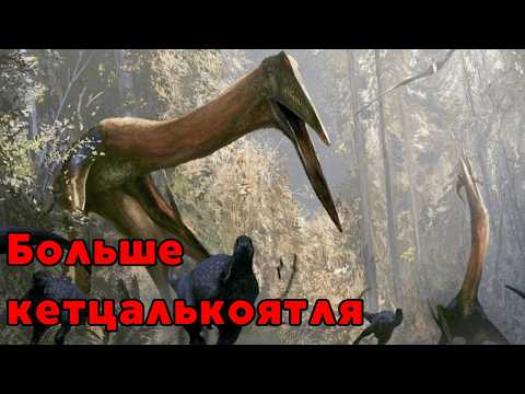 Видео: Самым Крупным Животным, Которое Когда-Либо Летало, Был Не Кетцалькоатль.