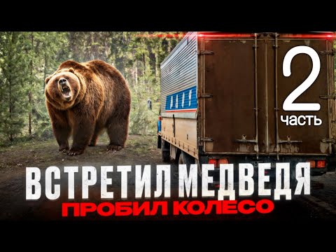 Видео: Часть 2 / Опять на СЕВЕР / встретил медведя  / Nissan Diesel Condor
