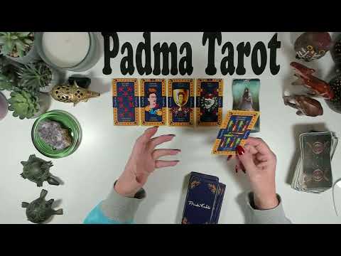 Видео: ОВЕН♈️ ПРОБЛЕМЫ ПОЗАДИ! ВПЕРЕДИ ПЛАВНОЕ ПЛАВНОЕ ПУТЬ! 3-9 НОЯБРЯ КАРЬЕРА И ФИНАНСЫ 💰Еженедельное ...