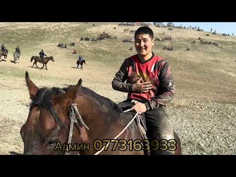Видео: Бактыбек аке элден бата алып Аламан Улак берди 2 болук