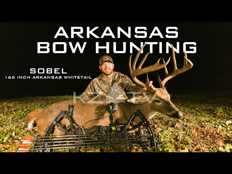 Видео: Большой олень! - Охота с луком в Арканзасе. K ZONE TV: "Собель" - белохвостый олень длиной 165 дю...