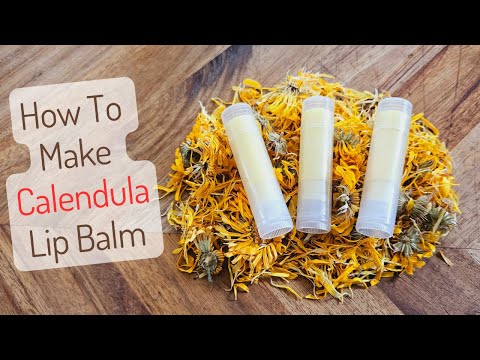 Видео: Простой рецепт бальзама для губ с календулой | Масло, настоянное на календуле