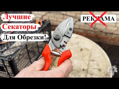 Видео: СЕКАТОРЫ, Которыми ХОЧЕТСЯ РАБОТАТЬ ВСЕГДА! Обзор ЛУЧШИХ СЕКАТОРОВ для ОБРЕЗКИ САДА и ВИНОГРАДА