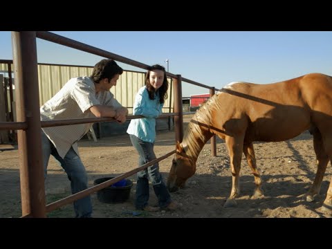 Видео: На этом ранчо самые лучшие лошади в мире | Семейный | Приключения | Фильм
