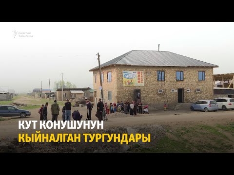 Видео: Кут конушунун кыйналган тургундары