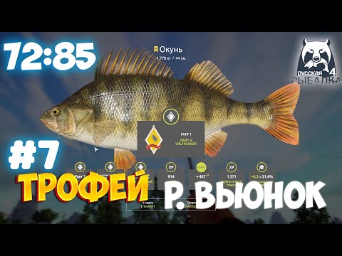 Видео: Трофейный окунь на реке Вьюнок\\ Русская рыбалка 4 №7