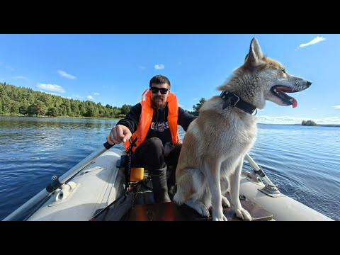 Видео: Рыбалка на Верхнем Куйто. Северные "шхеры"