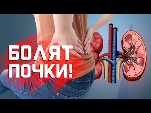 Видео: Когда поясница болит из-за почек?