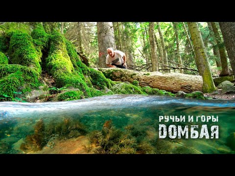 Видео: Домбай.Архыз. За восторгом в горы и ручьи! Часть3