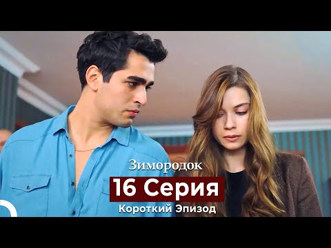 Видео: Зимородок 16 Cерия (Короткий Эпизод) (Русский дубляж)