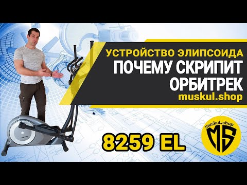 Видео: Эллиптический тренажер в разрезе Экофит EcoFitE8259EL Почему скрипит эллипсоид и как решить проблему