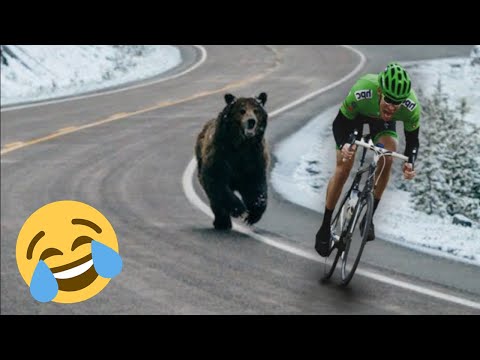 Видео: НЕВОЗМОЖНЫЙ ПОПРОБУЙ НЕ ЗАСМЕЯТЬСЯ 😆 Смешные видео Сборник 😆 Смешные Мемы 2023 Part 13