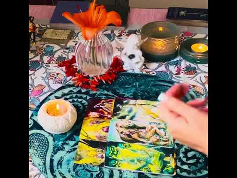 Видео: 🛡️🪬🛡️» ШОК 🤯 Вот это колдушки пляшут сегодня 🧛🏿🤬🤯Страшный Суд».‼️🛡️🪬 таро онлайн чистки защита 