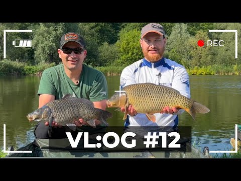 Видео: VL:OG №12 |  Спроба розгадати водойму CoolPlace №3