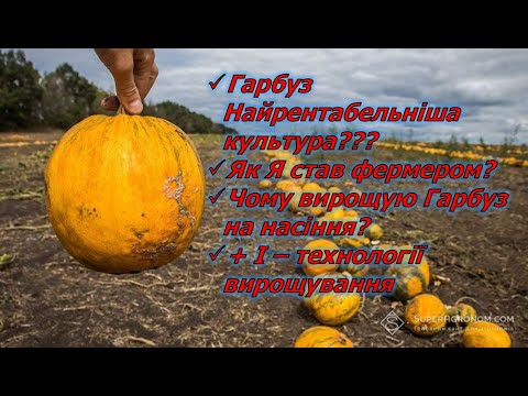 Видео: Гарбуз найрентабельніша культура? Як я став фермером? Чому вирощую гарбуз на насіння?