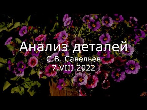 Видео: С.В. Савельев - Анализ деталей