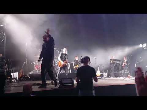 Видео: ДДТ "Волки в тире" Берлин 23.03.25