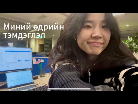 Видео: Миний өдрийн тэмдэглэл | Chronicles of Endi | EP.00