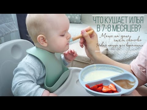 Видео: ЧТО КУШАЕТ ИЛЬЯ В 7-8 МЕСЯЦЕВ? // МЕНЮ НА ДЕНЬ // НОВАЯ ПОСУДА ДЛЯ МАЛЫША