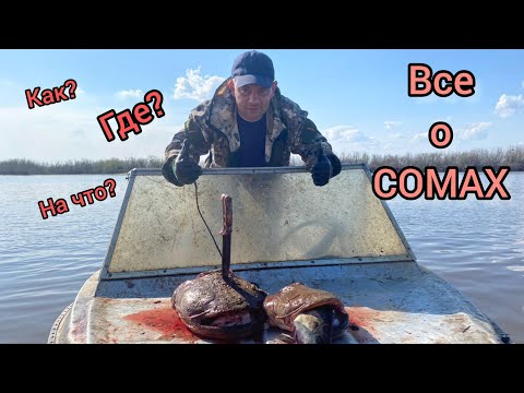 Видео: Рыбалка на СОМА. На что ловить сома? Как ловить сомов?