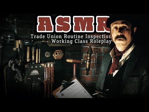 Видео: Плановая проверка ASMR | Ролевая игра «Анкета профсоюза рабочего класса»