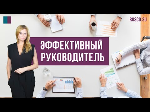 Видео: Эффективный руководитель: кто это? Консультация кадровика