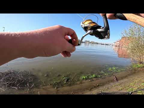 Видео: Фидерная рыбалка в Германии: оснастка, закорм и клюёт!