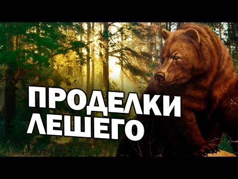 Видео: 🐻/ПРОДЕЛКИ ЛЕШЕГО / ТАЕЖНОЕ ПРИКЛЮЧЕНИЕ/