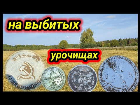 Видео: находки на выбитых урочищах