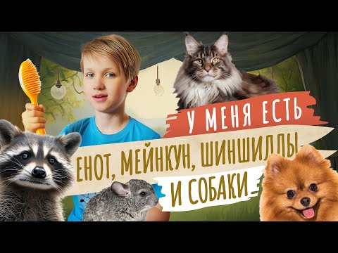 Видео: У меня есть енот, шиншиллы, шпиц и мейнкун. Мой питомец 