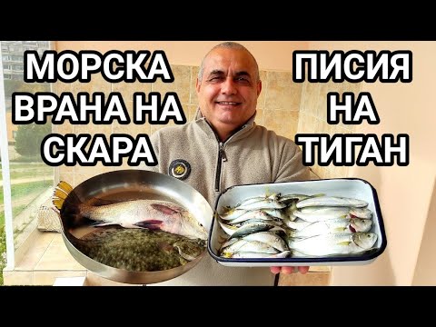 Видео: МОРСКА ВРАНА И ЧЕРНОКОП НА СКАРА! ПЪРЖЕНА ПИСИЯ И САФРИД! РИБНО МЕНЮ ЗА ВЕЧЕРЯ С ПРЯСНА МОРСКА РИБА!