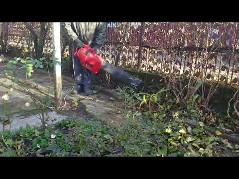 Видео: Убираем листья при помощи воздуходувки.