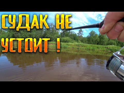 Видео: На что ловить судака?! Ловля судака в начале лета. Приманка на судака. Рыбалка в Пермском Крае